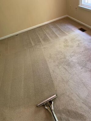 Carpet Cleaning Services in Hillcrest Heights, MD (1)