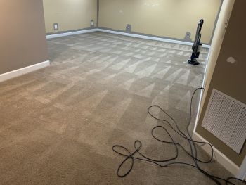 Carpet Cleaning in Bowie, Maryland by DMV Precision Cleaning